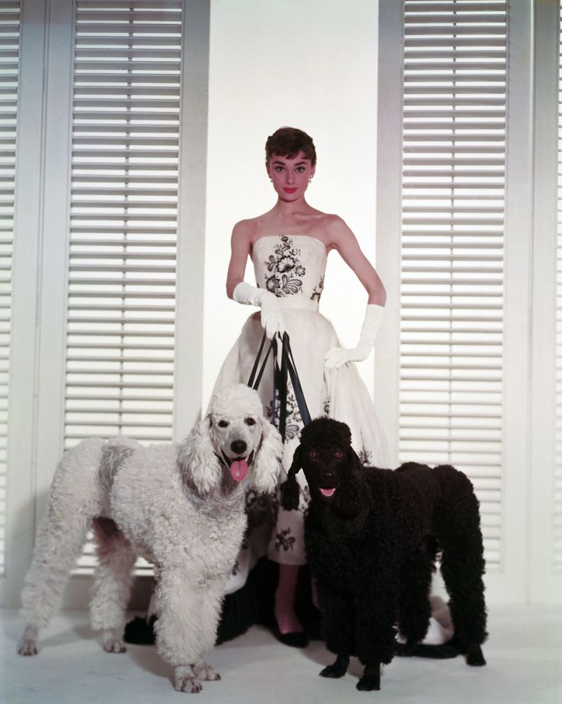 Audrey Hepburn continues to be a modern style muse