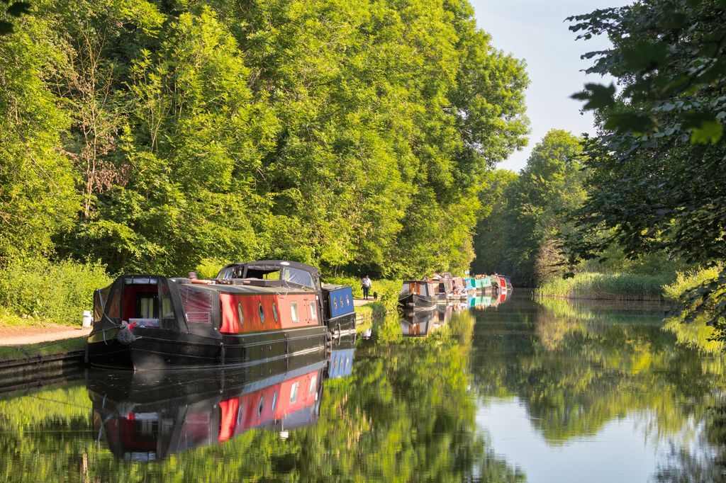 Moored Narrowboats, some used as houseboats beside towpath, Cassiobury Park, Hertfordshire