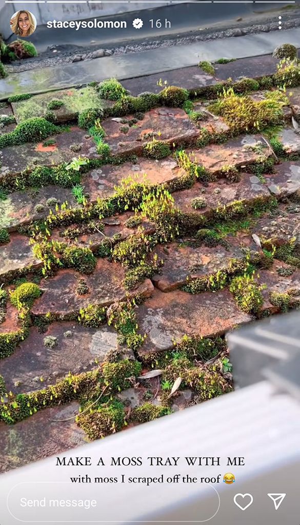 roof tiles covered in moss 