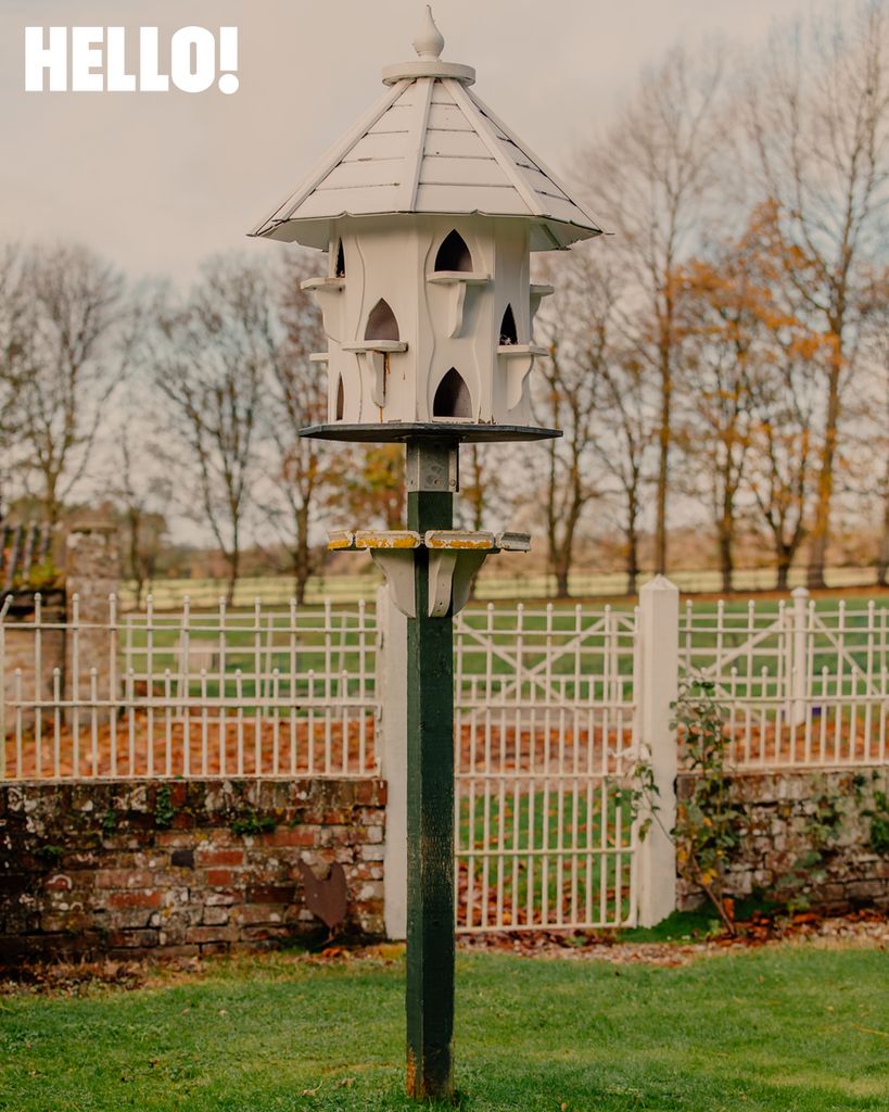 A bird feeder