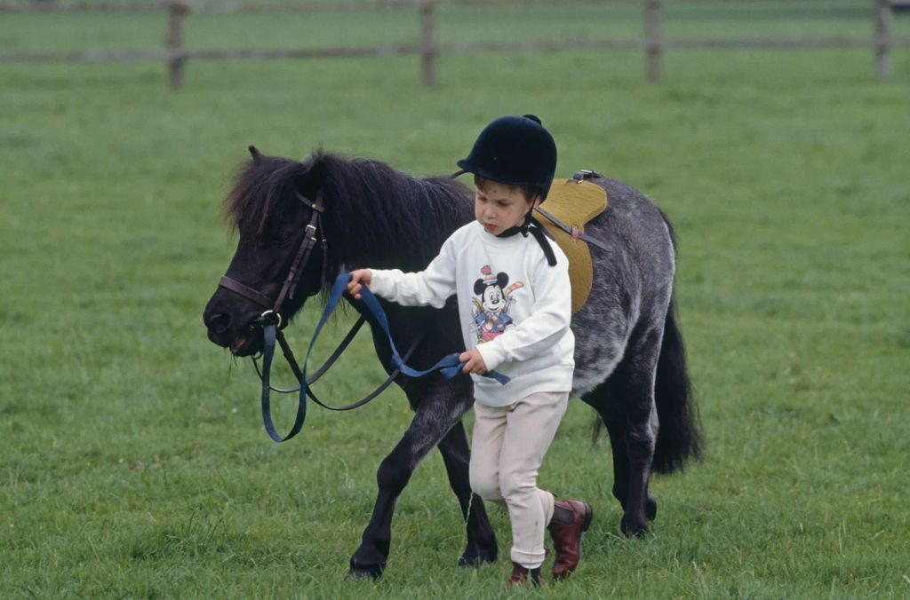 A young Prince William and his Shetland pony