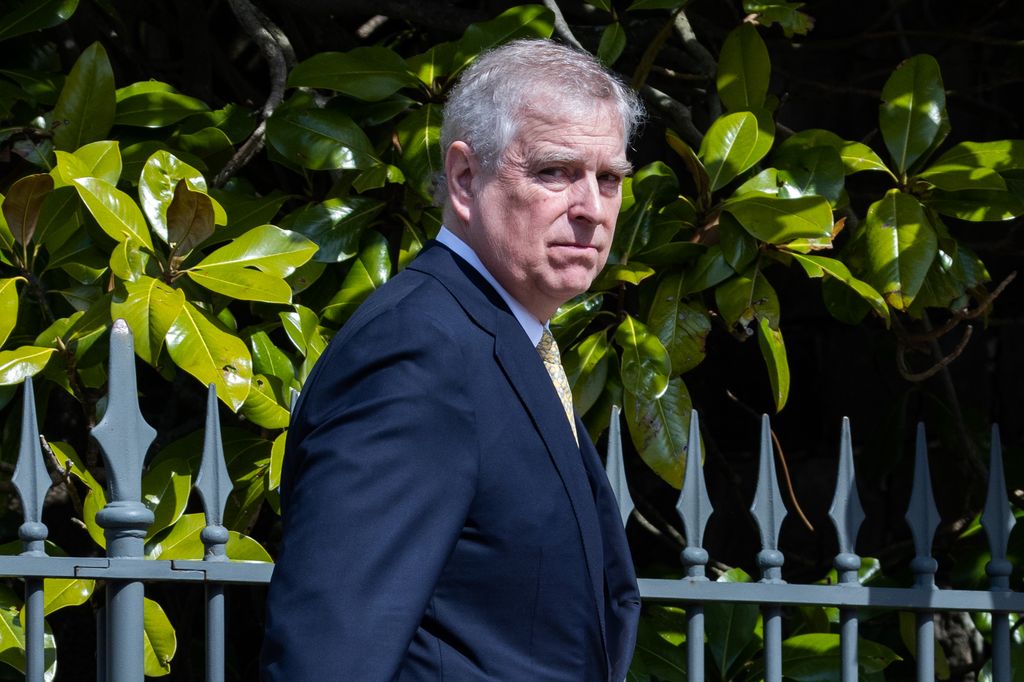 prince andrew in suit by railings and foliage 