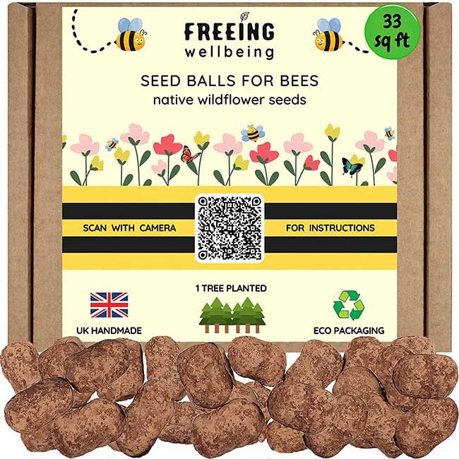 seed balls for bees