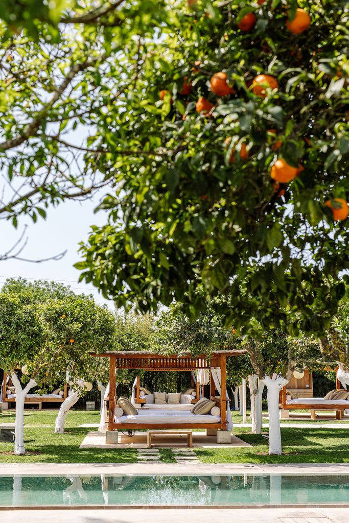 Ibiza’s Atzaró Agroturismo Hotel view of orange trees and pool