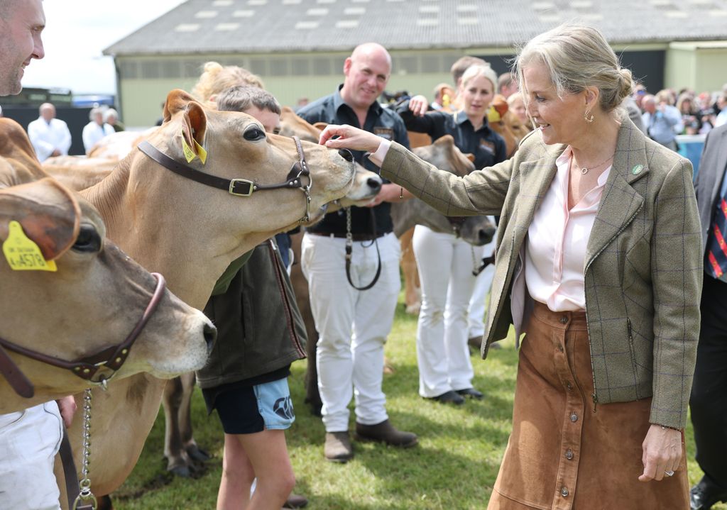 Duchess Sophie stroking a cow
