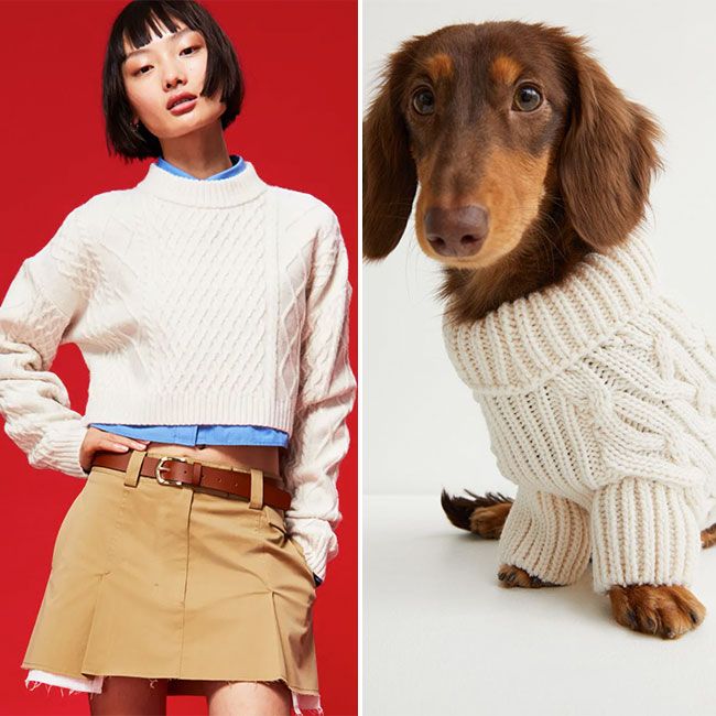 hm dog owner cable knits