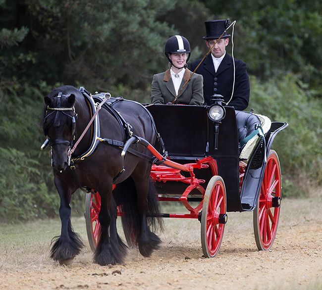 lady louise windsor carriage driving windsor