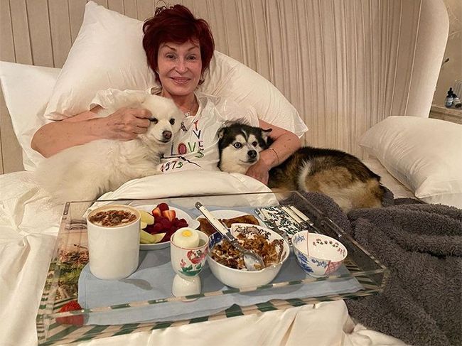 sharon osbourne with dogs breakfast in bed