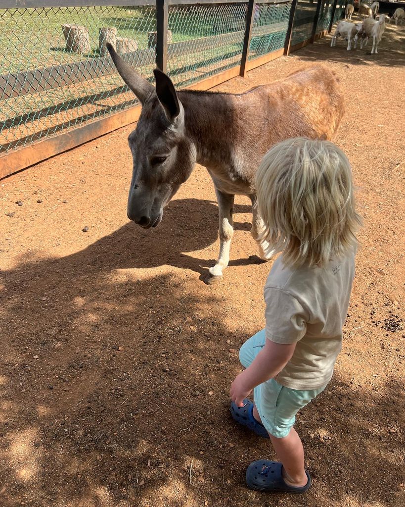 young boy with donkey 