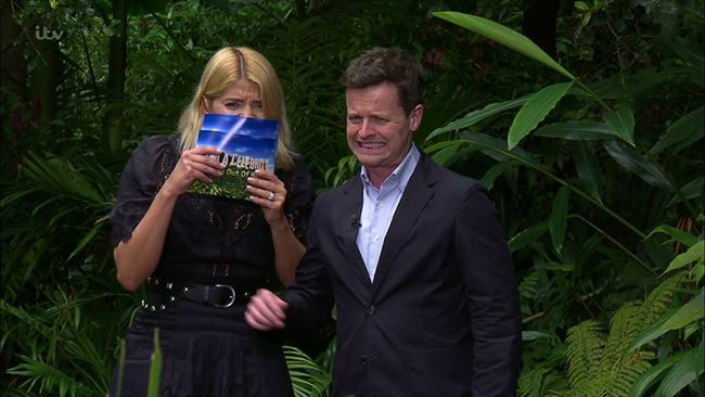holly willoughby and dec on im a celeb