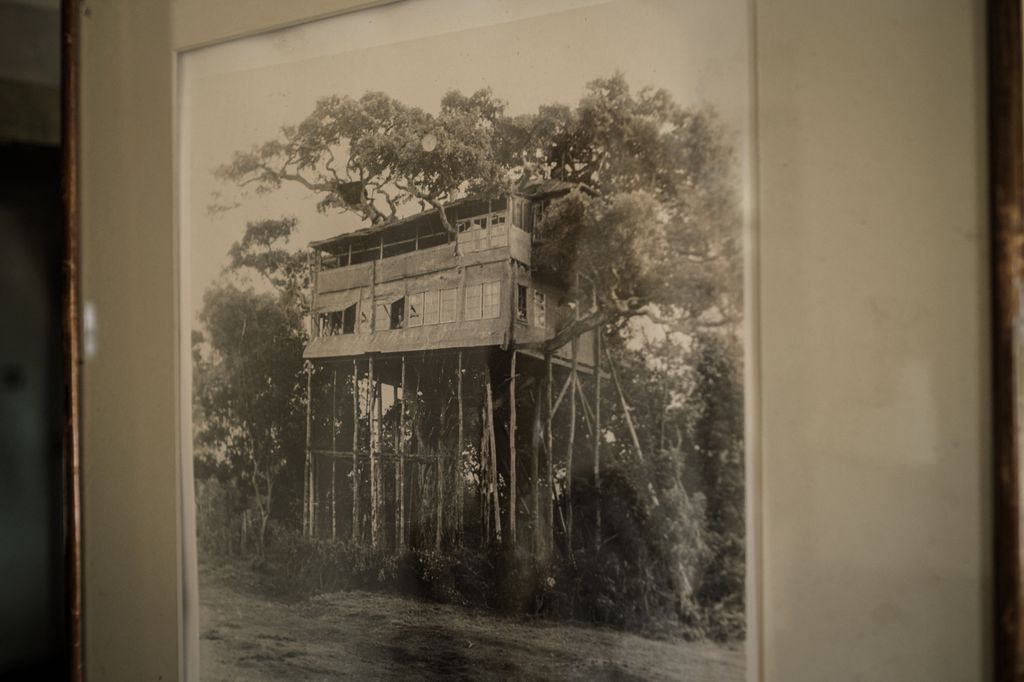 A photo showing the original Treetops Lodge in Kenya where Elizabeth II became Queen