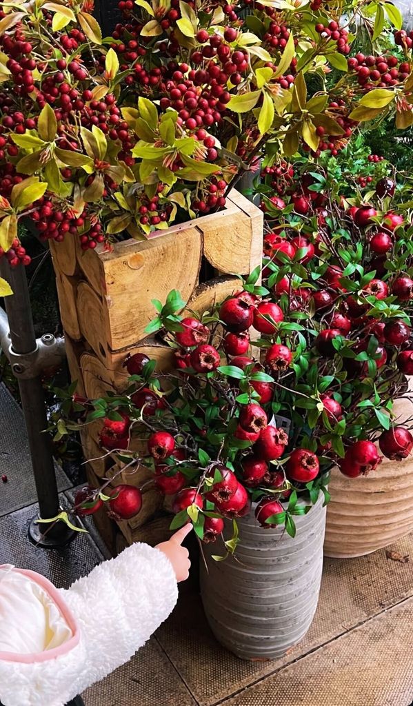 Palma sweetly pointed at the Christmas shubbery, wearing a Borg jacket