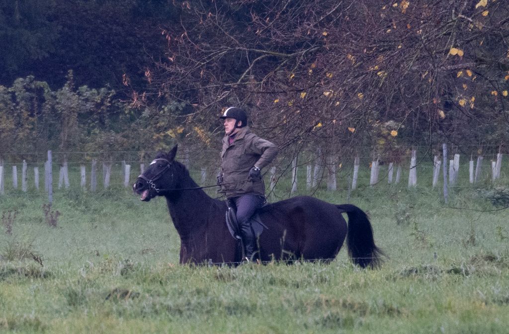 Horse trots as Prince Andrew rides