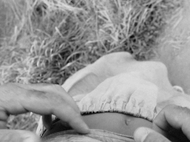 Manuel Garcia-Rulfo caresses Audrey McGraw's belly in a video shared on Instagram