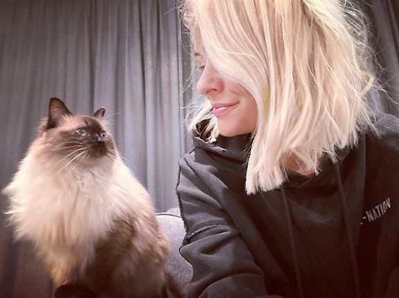 holly willoughby cat instagram