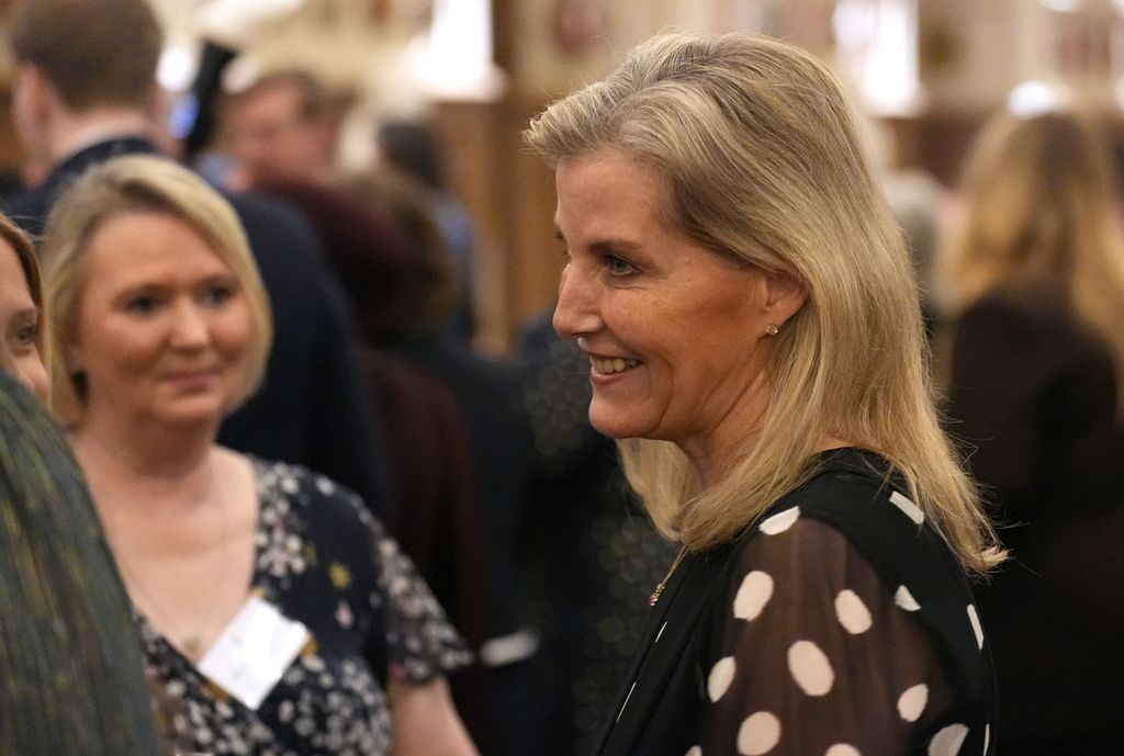   Sophie, duchesse d'Édimbourg s'adresse aux invités lors d'une réception pour souligner le travail inspirant des soignants rémunérés et non rémunérés lors d'une réception pour souligner le travail inspirant des soignants rémunérés et non rémunérés au château de Windsor