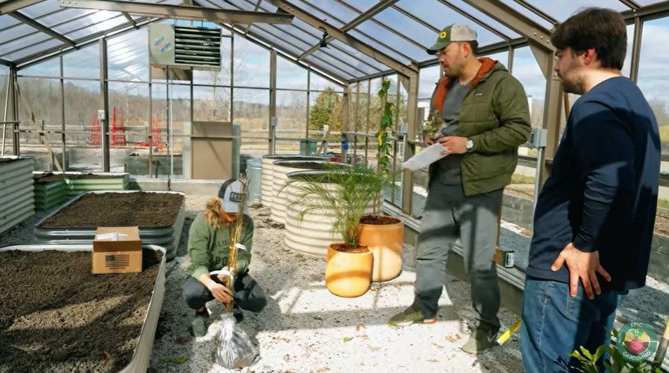 carrie underwood planting trees greenhouse