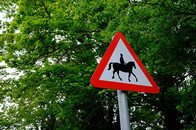 horse sign