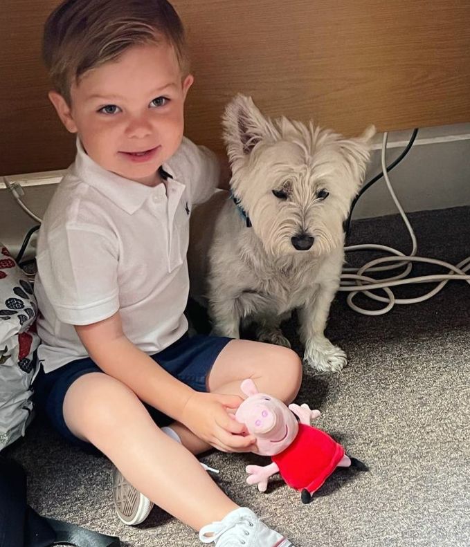 A young boy with a Peppa Pig toy and a dog