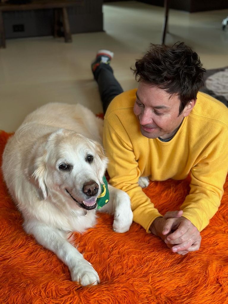 jimmy fallon dog gary