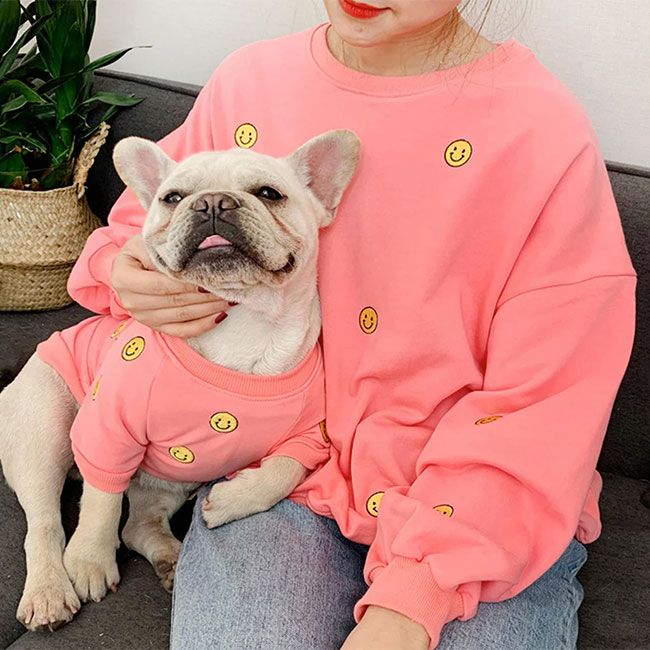 pink jumper dog owner