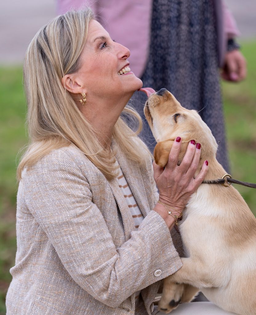Puppy licks Duchess Sophie on the chin
