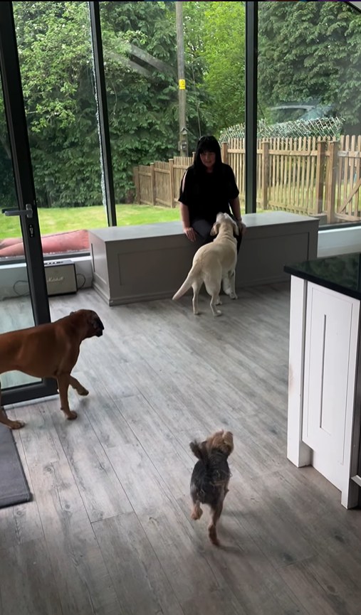 Coleen Nolan in her dining room at Cheshire home