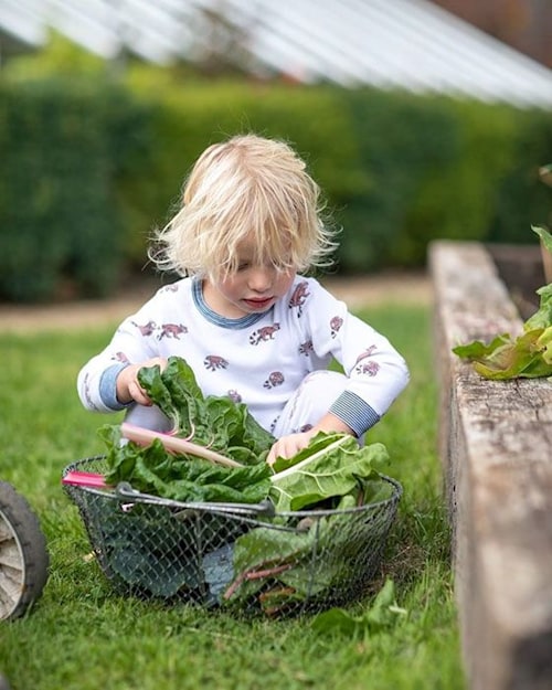 Jamie Oliver sends fans wild with rare picture of son River in their ...