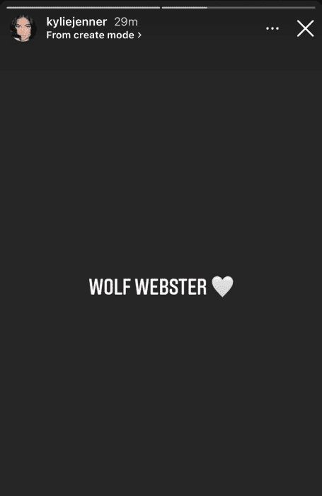wolf webster z.jpg