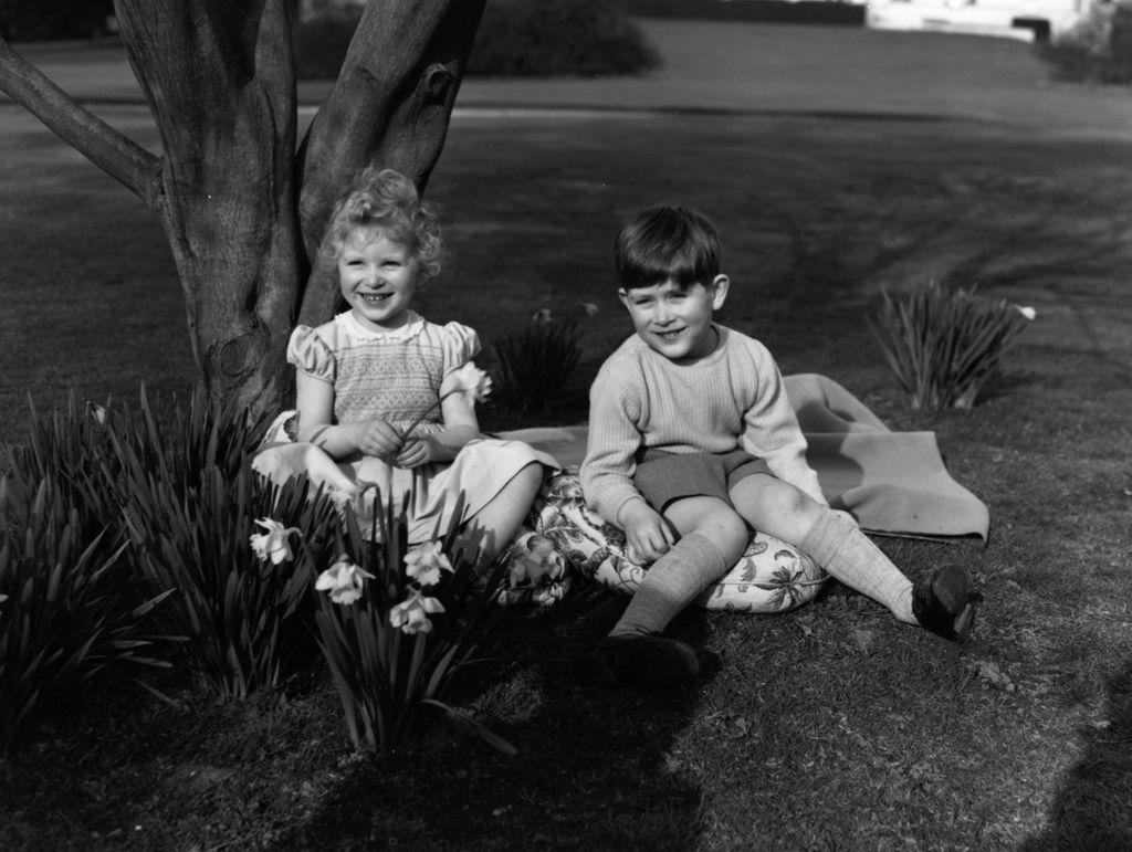 prince charles and princess anne enjoying picnic outside 