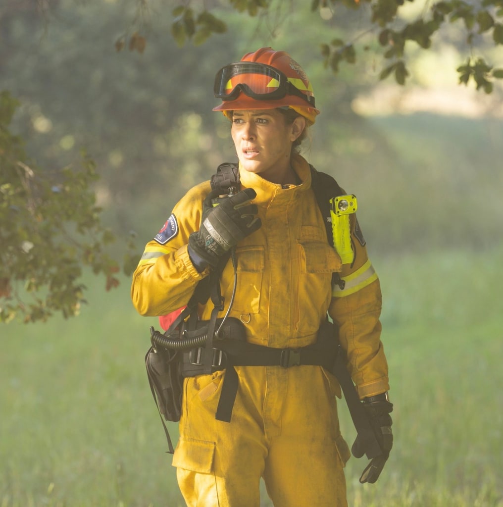 Station 19 Star partage le post `` émotionnel '' sur le spectacle - un an après l'annulation 2 De quoi était la station 19?