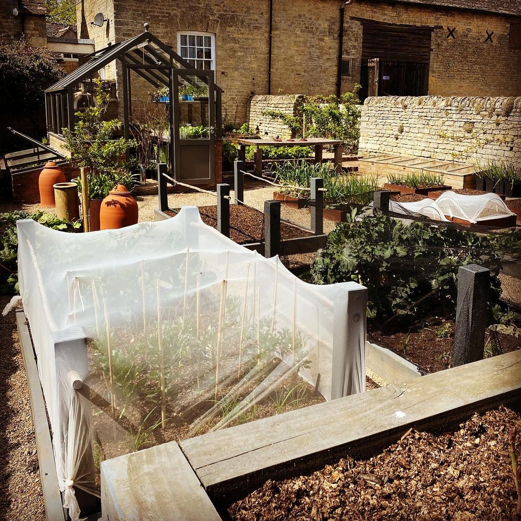 garden with planters