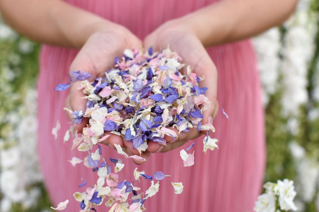  Shropshire Petals