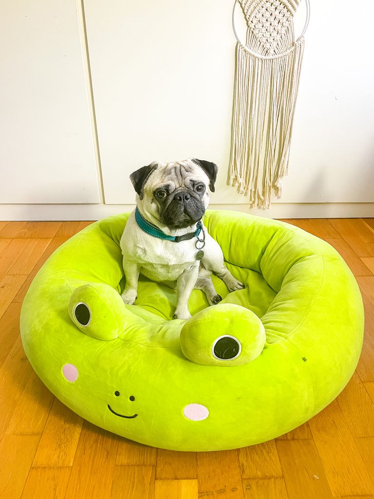 The Best Squishmallows Pet Beds To Buy