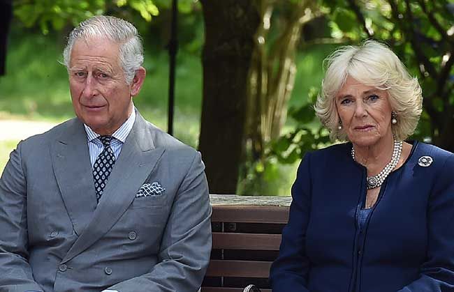 Prince Charles Camilla serious