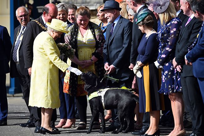 the queen with guide dog