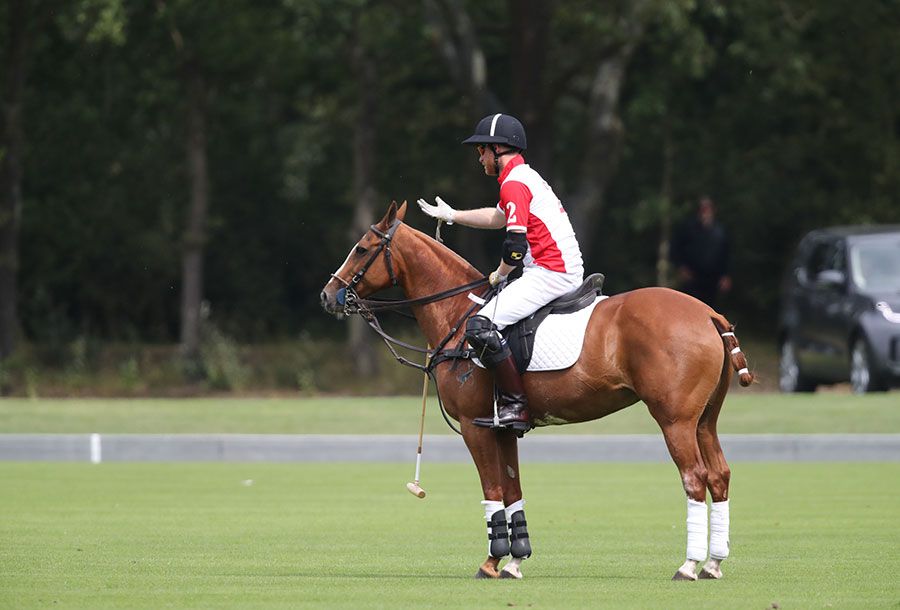 prince harry at the polo
