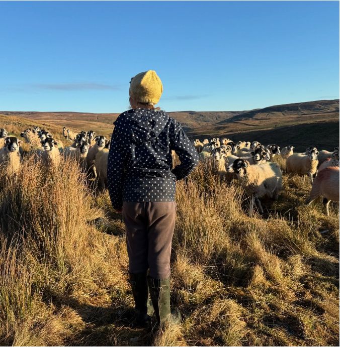 A young girl standing in a herd of sheep
