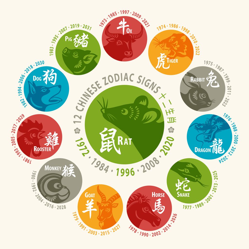 12 Chinese zodiac animals are used to represent years of the lunar calendar, based on a twelve-year cycle, in order are: rat, ox, tiger, rabbit, dragon, snake, horse, goat, monkey, rooster, dog and pig.