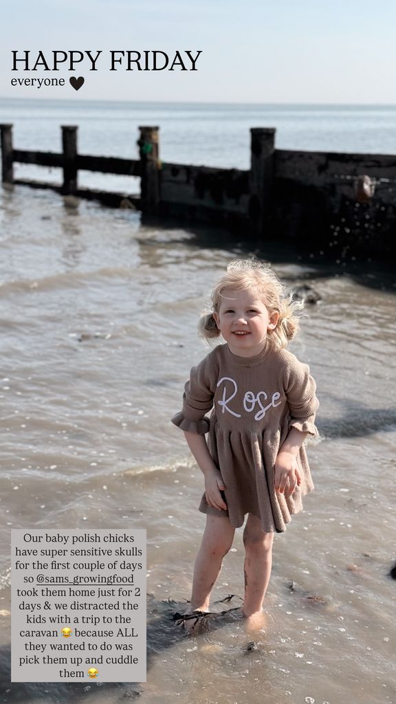 little girl smiling in embroidered brown dress