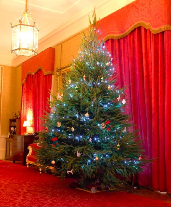 Prince Andrew Christmas tree buckingham palace