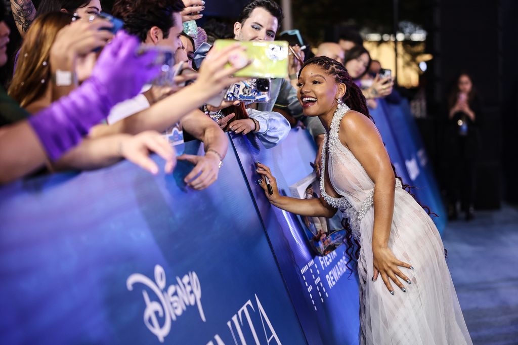 halle bailey with her cascading curls tied back and styled in braids