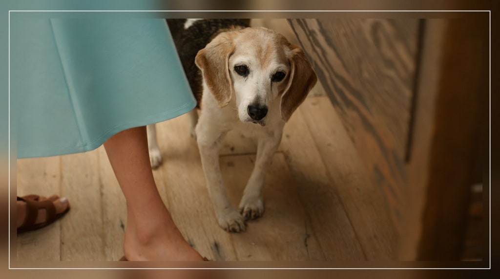 Meghan with Guy the dog in the kitchen
