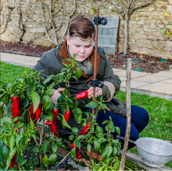 Arthur has been working on his picante jam