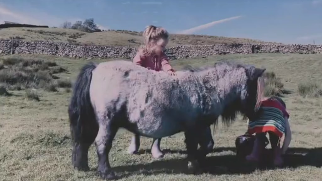 two children on farmland with little pony