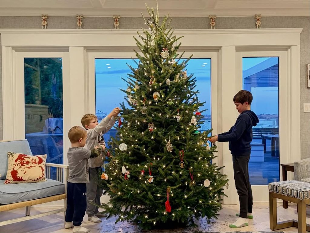 Dylan Dreyer's 3 sons decorating Christmas tree