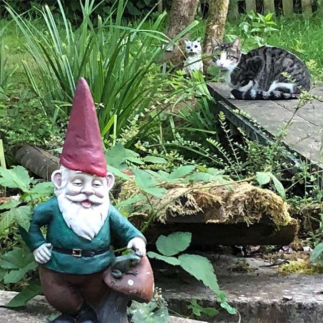 Mike Bushell garden gnomes