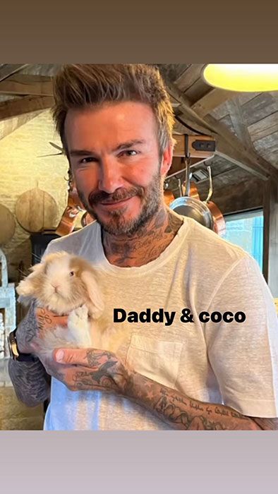 david beckham and bunny coco