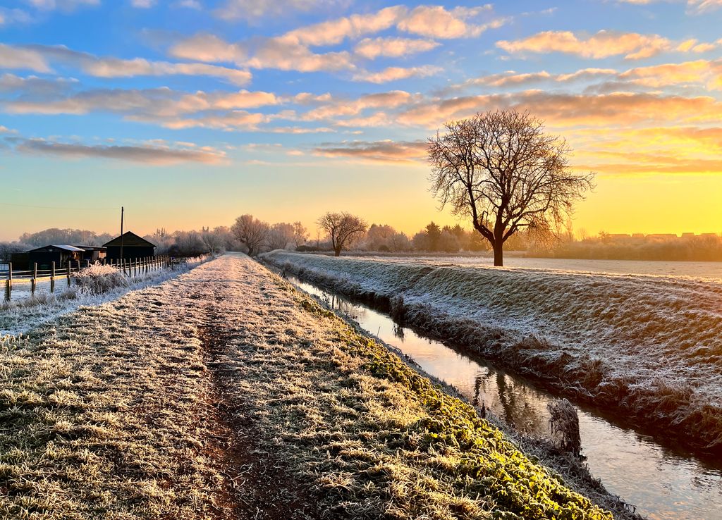 A tree standing on a frost river bank as dawn breaks behind.
