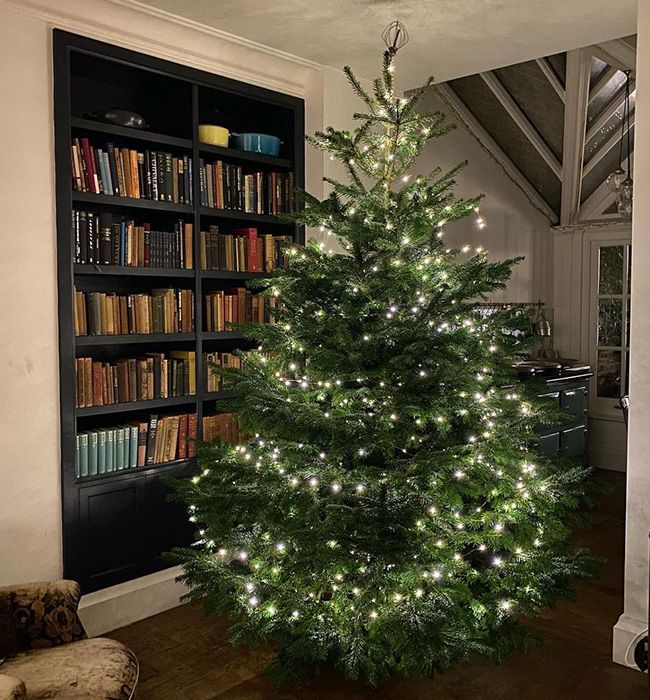 nigella lawson christmas tree